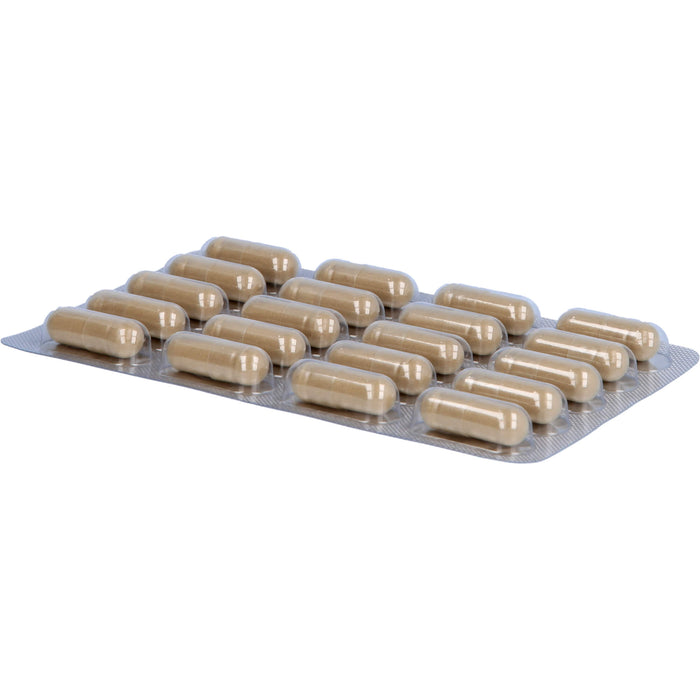 Luvos Heilerde imutox Kapseln bindet Schadstoffe, 120 pc Capsules