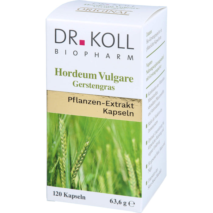 Gerstengras - Hordeum Vulgare, 120 St KAP