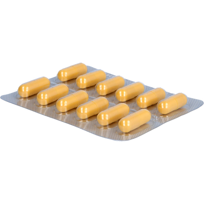 PENTOFURYL 200 mg Kapseln bei akutem Durchfall, 12.0 St. Kapseln