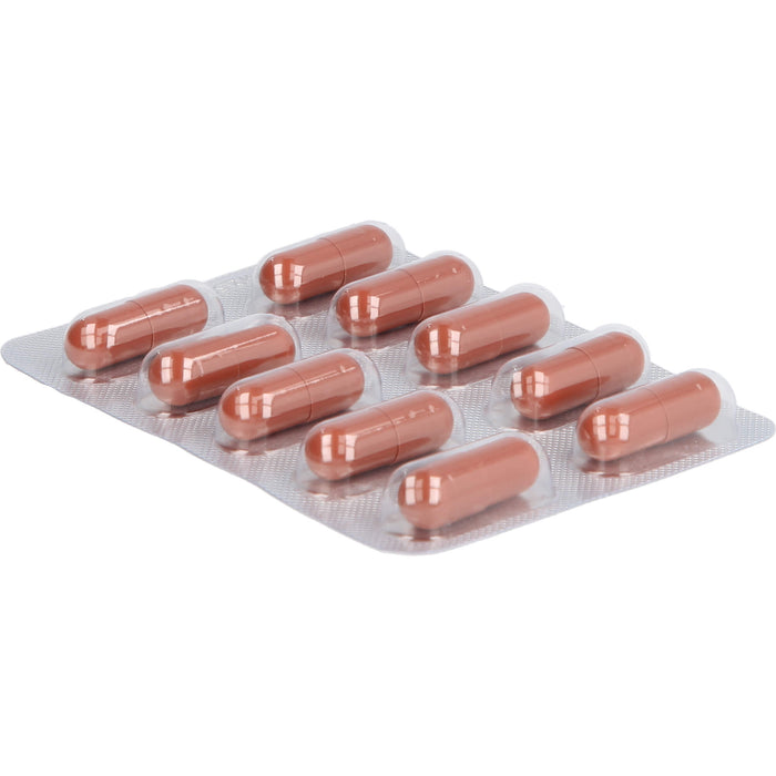 Gingonin 120 mg Hartkapseln, 120 St HKP