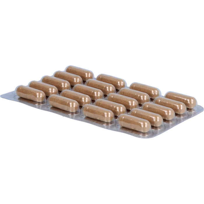 PADMA DigesTib Verdauung Kapseln erwärmt die Mitte, 60 St. Kapseln