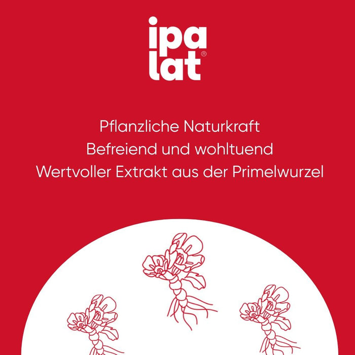 ipalat Die Halspastille Zuckerfrei: Naturkraft bewährt bei Heiserkeit & Hustenreiz, 40 pc Pastilles