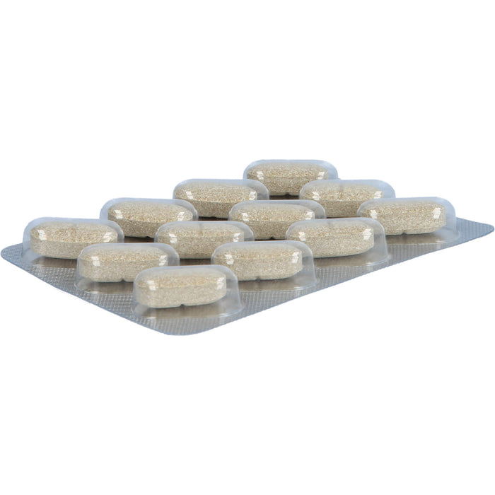 GSE Repair Rapid Acid, 36 St TAB