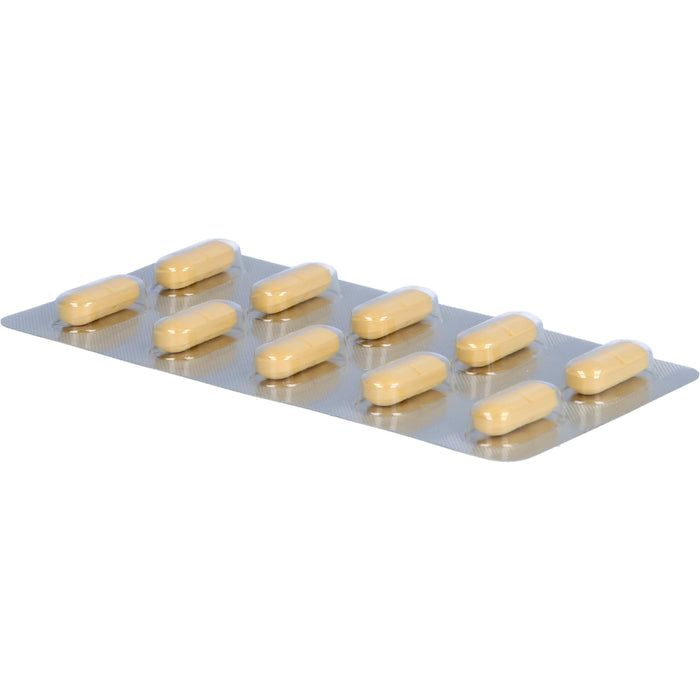 Gingobeta 240 mg Filmtabletten bei leichter Demenz, 50 pcs. Tablets