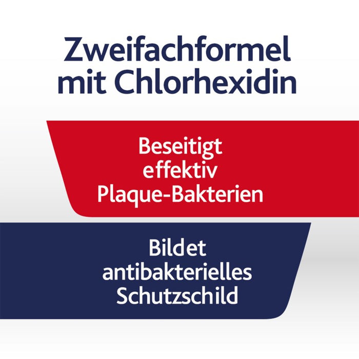 Chlorhexamed tägliche Mundspülung alkoholfrei, 300 ml Solution