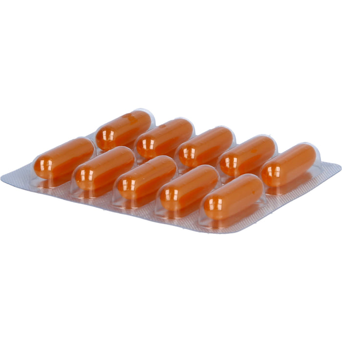 Lipidavit SL Weichkapseln bei erhöhten Blutfettwerten und bei Lebererkrankungen, 50 pcs. Capsules