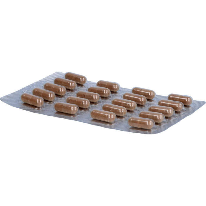 Vitamin K2 MK-7 all-trans vegan Kapseln, 60 St KAP