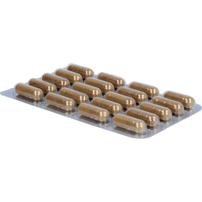 PADMA HepaTib Kapseln für eine normale Leberfunktion, 60 pc Capsules