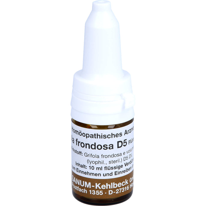SANUM-KEHLBECK Grifola frondosa D5 flüssige Verdünnung, 10 ml Lösung