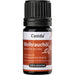 Casida Weihrauchöl für Aromatherapie und Aromadiffuser, 5 ml ätherisches Öl