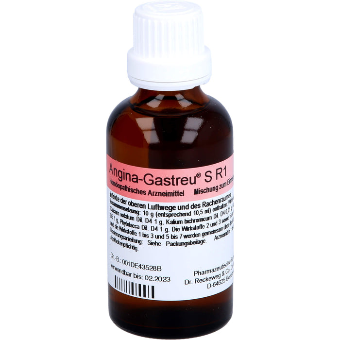 Dr. Reckeweg Angina-Gastreu S R1 Tropfen, 50 ml Solution