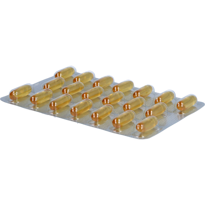 boswellia-Loges Weihrauch-Kapseln, 60 St., 60 pcs. Capsules