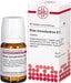 DHU Rhus toxicodendron D12 Tabletten, 80 St. Tabletten