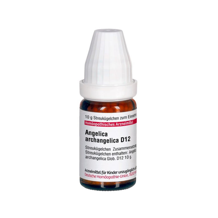 DHU Angelica archangelica D12 Globuli, 10 g Globules