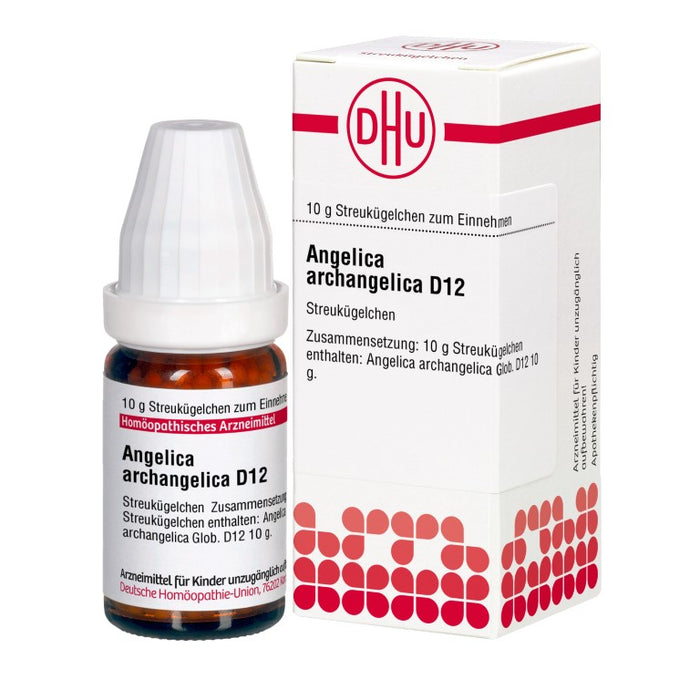 DHU Angelica archangelica D12 Globuli, 10 g Globules