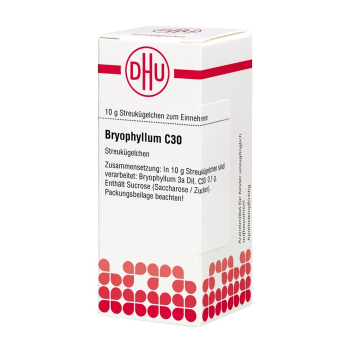 DHU Bryophyllum C30 Globuli, 10 g Globules