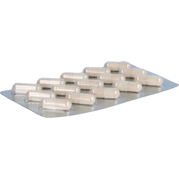 GLYCOWOHL extra Kapseln für einen gesunden Blutzuckerspiegel, 90 pc Capsules