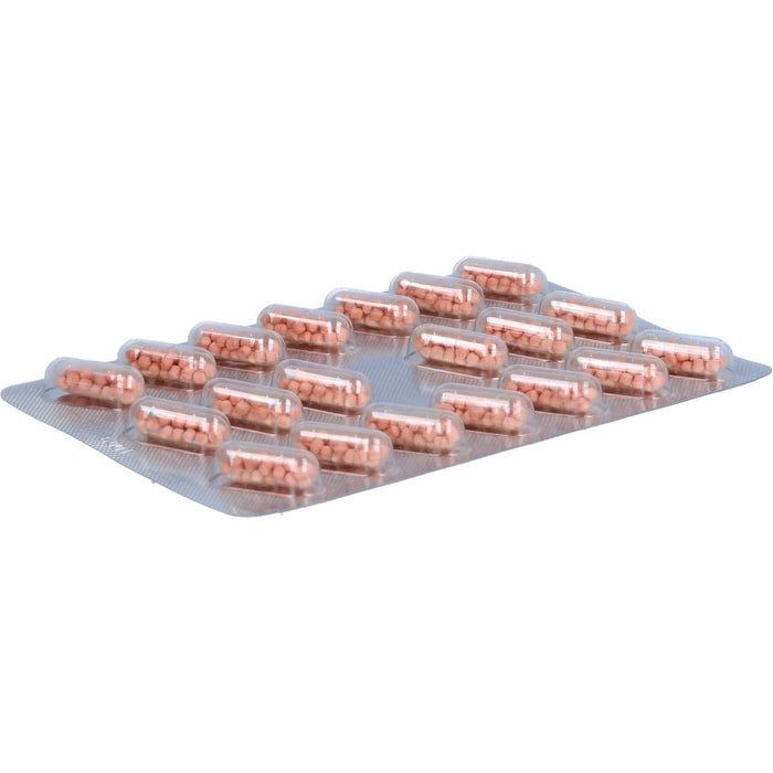 Keltican forte Kapseln zur Unterstützung der Nervenregeneration, 60 pcs. Capsules