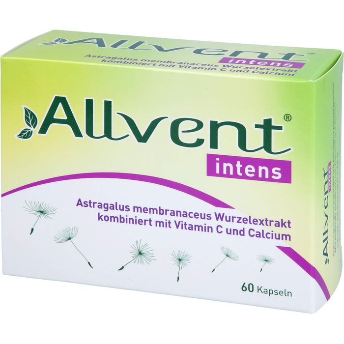 Allvent intens Kapseln, 60 pc Capsules