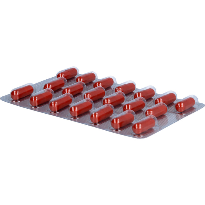 vigoLoges Ashwagandha plus Kapseln, 60 St., 60 pc Capsules