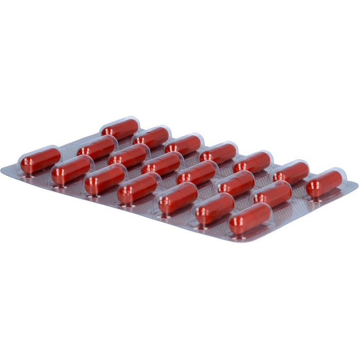 vigoLoges Ashwagandha plus Kapseln, 120 St., 120 pc Capsules