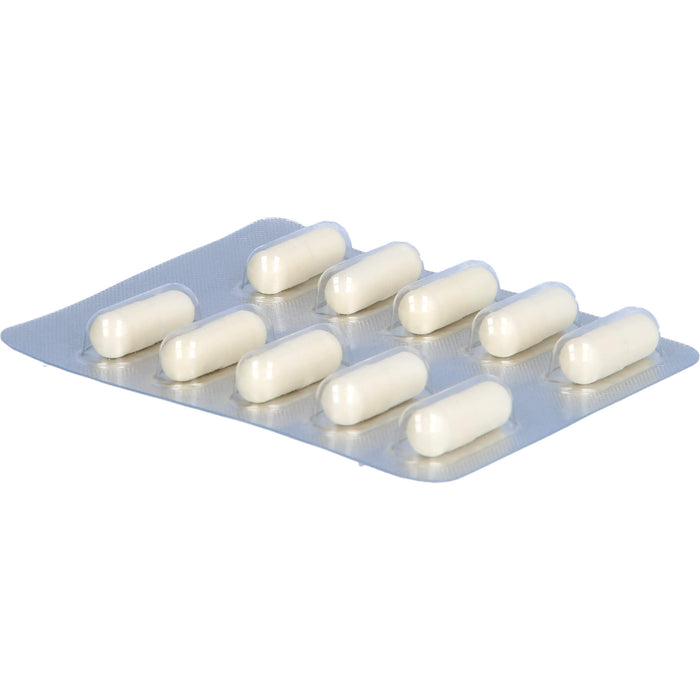Vivatlac Synbiotikum Kapseln mit lebenden Bakterien, 30 pc Capsules