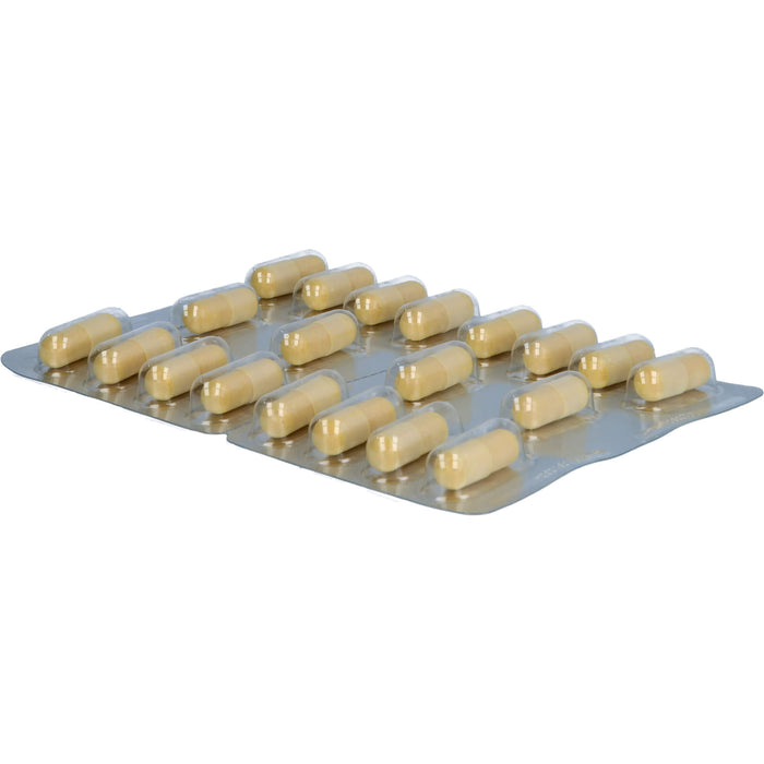 Doppelherz system Glucosamin 1000 + Curcuma vegan Kapseln für Knochen und Knorpel, 120 pcs. Capsules