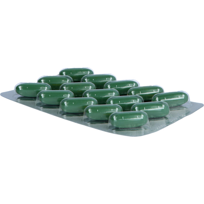 Salus Salusan Ortho Komplex-Kapseln für Knochen und Knorpel, Muskeln und Bindegewebe, 60 pc Capsules