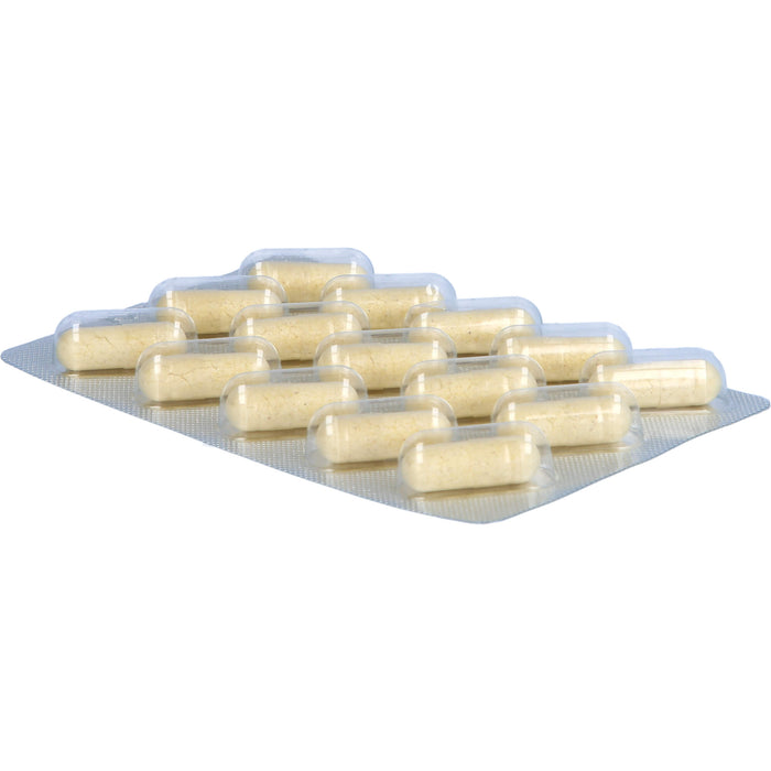 Probio Cult Relax N Syxyl, 30 St KAP