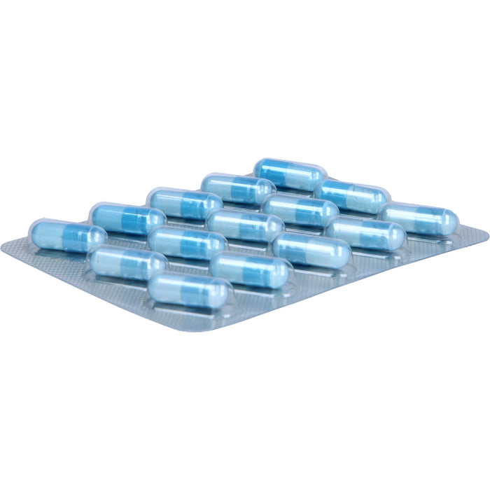 neuroLoges concept Kapseln, 60 pc Capsules