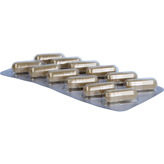 AQUILEA Relax Kapseln für innere Ruhe bei Stress, 48 pcs. Capsules