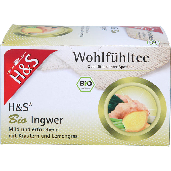 H&s Bio Ingwer, 20X2 g FBE