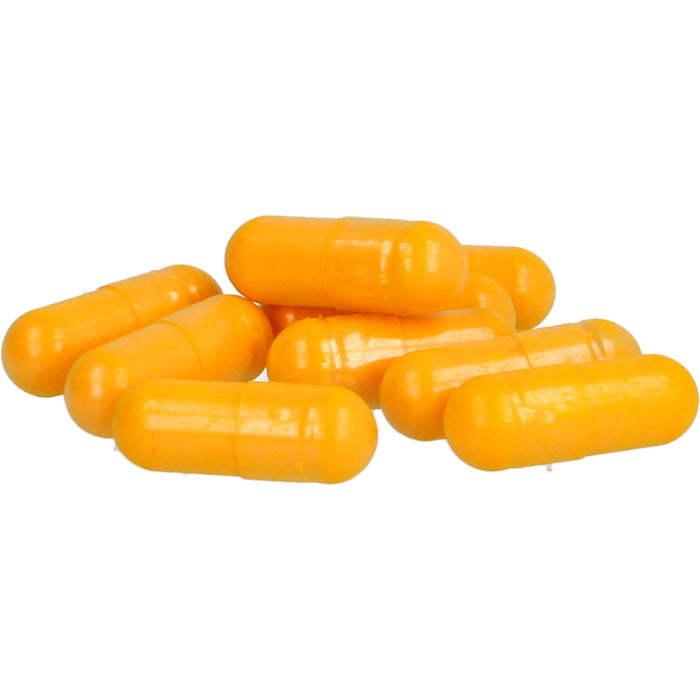 Acuraflex Komplett 60Kapseln+100ml Creme Nutrilago, 1 St KPG