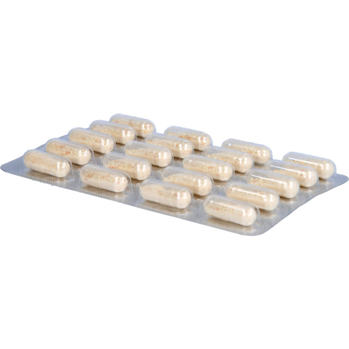 Orthoexpert Immun V Kapseln mit Vitamin A, D und C zur Unterstützung des Immunsystems, 60 St. Kapseln