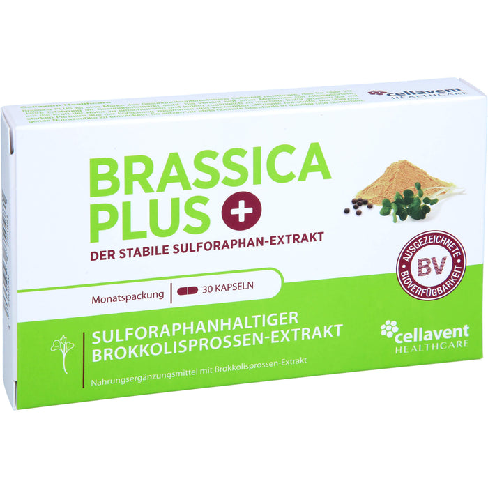 Brassica PLUS, 30 St KAP