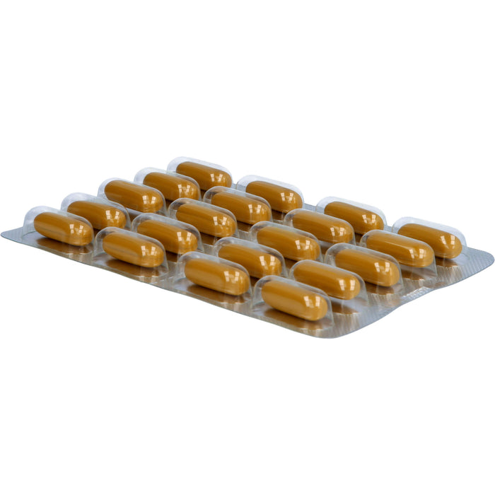 Curcumin-Loges Arthro plus UC-II Kapseln, 120 pcs. Capsules