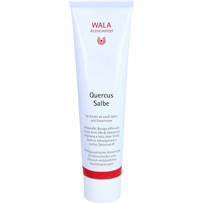 WALA Quercus Salbe bei Hämorrhoiden und chronisch-entzündlichen Darmerkrankungen, 100 g Salbe