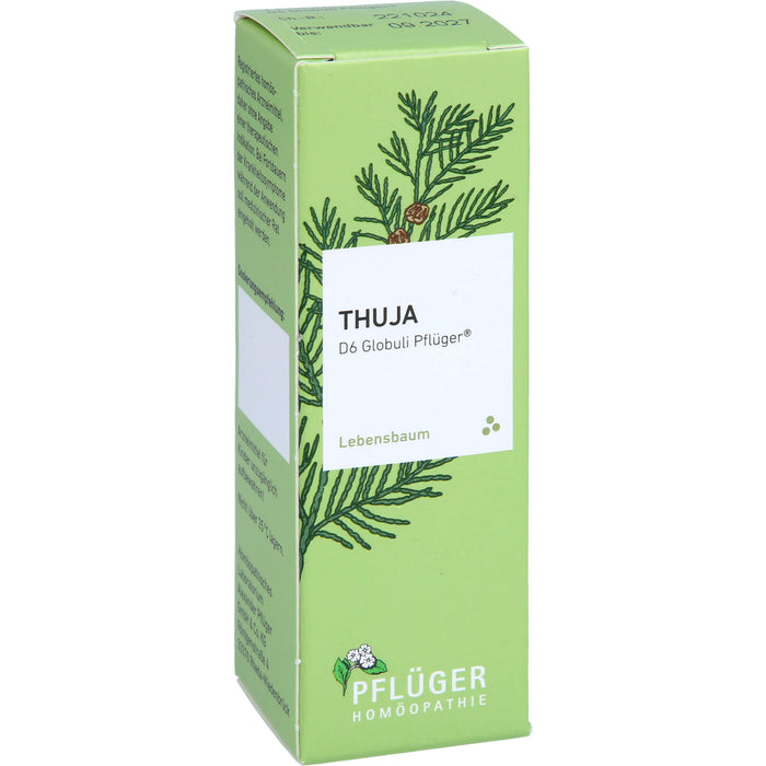 Pflüger Thuja D6 Globuli Dosierspender, 10 g Globuli