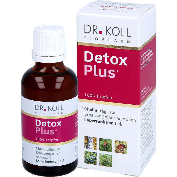 DR. KOLL Detox Plus Gemmo Komplex Cholin Tropfen, 50 ml Lösung