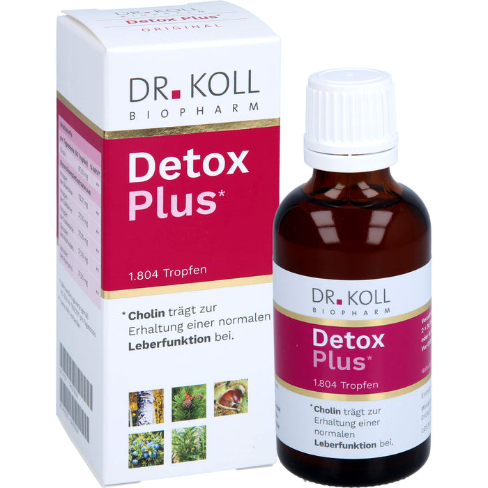 DR. KOLL Detox Plus Gemmo Komplex Cholin Tropfen, 50 ml Solution