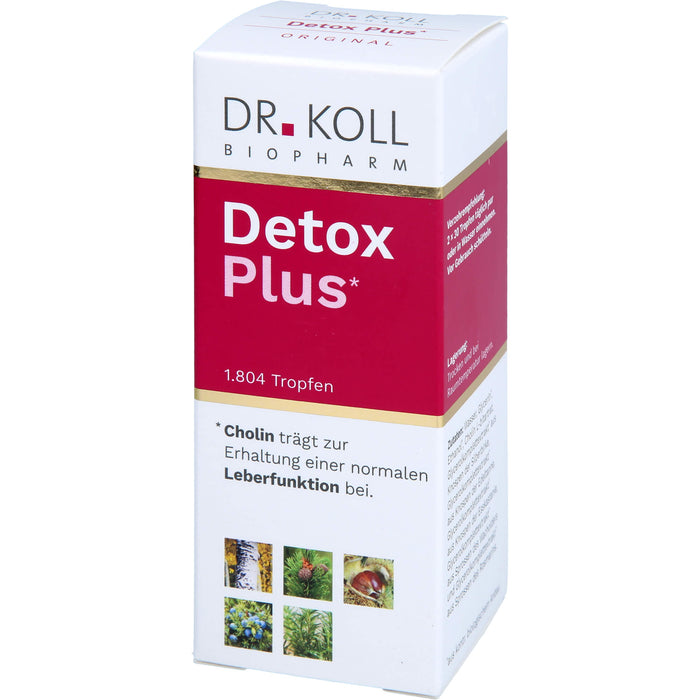 DR. KOLL Detox Plus Gemmo Komplex Cholin Tropfen, 50 ml Solution