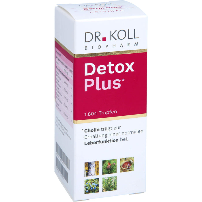DR. KOLL Detox Plus Gemmo Komplex Cholin Tropfen, 50 ml Solution