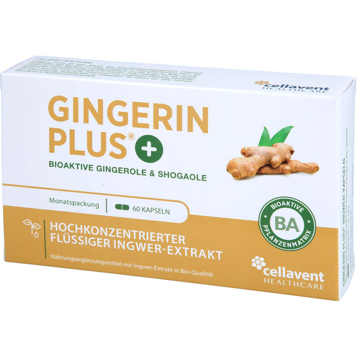 Gingerin Plus hochkonzentriertes flüssiges Ingwer-Extrakt Kapseln, 60 pcs. Capsules