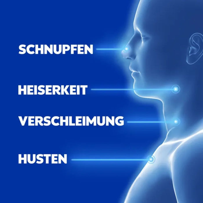 WICK VapoRub Erkältungssalbe im Stick zur Linderung von Erkältungssymptomen, 35 g Crème