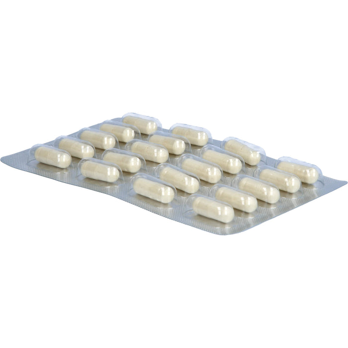 GELENCIUM Enzym Complex Kapseln hochdosiert mit Bromelain, 100 St. Kapseln