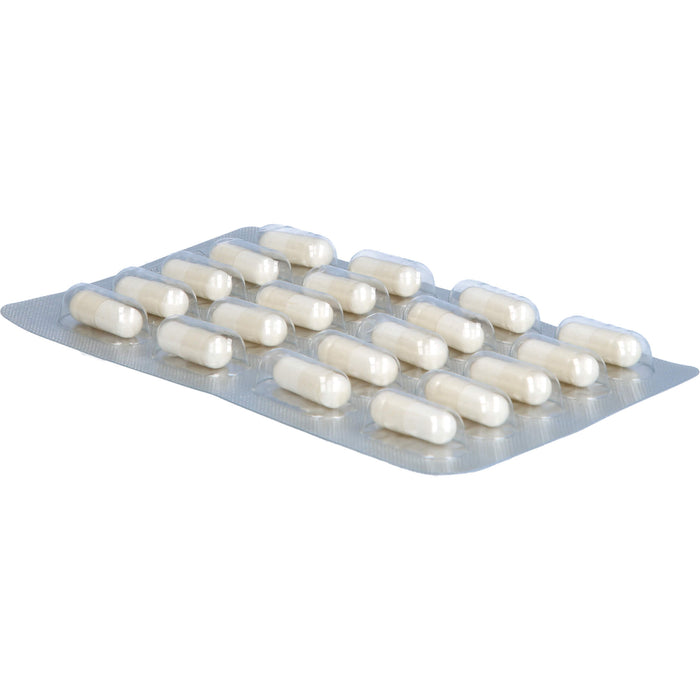 GELENCIUM Glucosamin Chondroitin Kapseln hochdosiert mit Vitamin C, 120 St. Kapseln