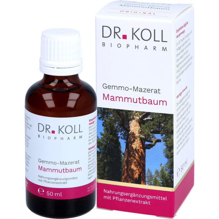 Gemmomazerat Mammutbaum, 50 ml TRO