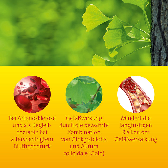 Ginkgo biloba comp. Hevert bei Gefäßverkalkung, 200 ml Solution