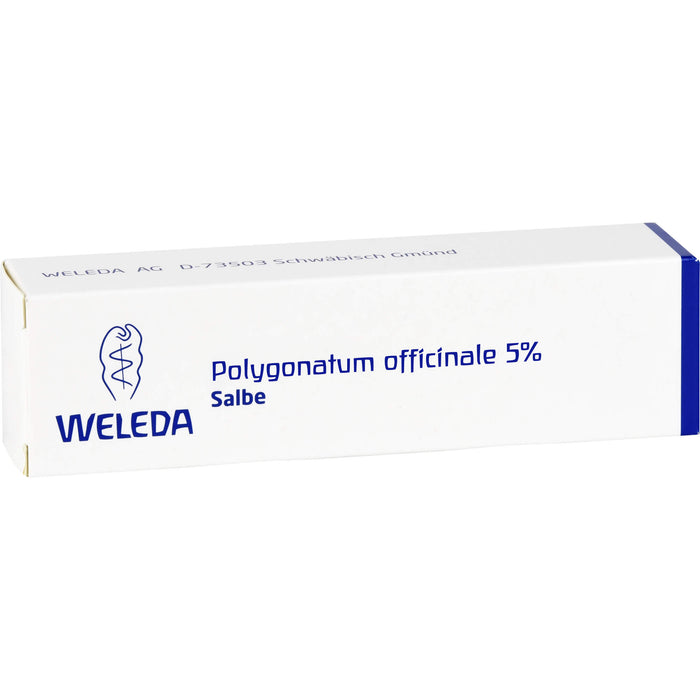 Polygonatum officinale 5% WELEDA Salbe, 25 g Onguent