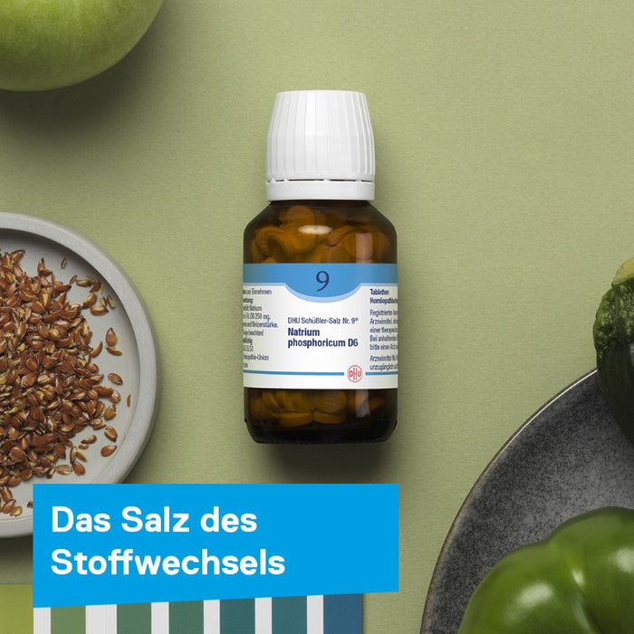 DHU Schüßler-Salz Nr. 9 Natrium phosphoricum D6, 80 St. Tabletten